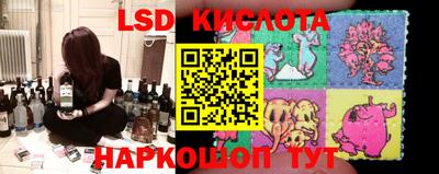 дмт Камышлов
