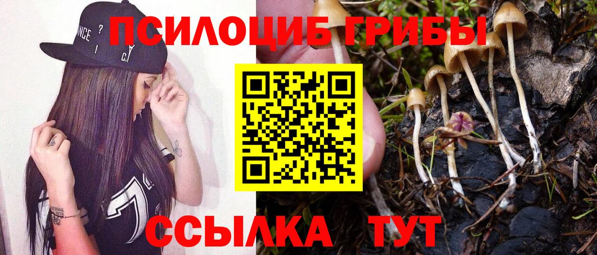 Кубинка  Галлюциногенные грибы MAGIC MUSHROOMS  Вход с VPN 