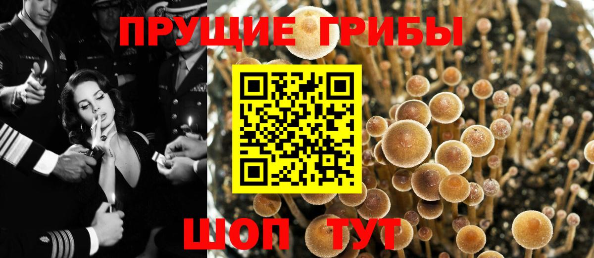 Галлюциногенные грибы мицелий Кубинка